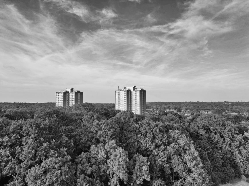A black-and-white aerial photograph showing a landscape with a dense canopy of trees in the foreground, featuring a mix of deciduous foliage. Behind the trees, there are two tall, multi-storey residential buildings with flat roofs, positioned side by side and slightly offset from each other, with visible windows and structural details. The sky overhead has scattered clouds with wispy formations. The scene is set in an urban or suburban area, and the image captures a broad view of the natural environment alongside construction or residential infrastructure, exemplifying aspects of external rubbish removal and site clearing, as might be performed by Waste Disposal Watford in managing waste associated with property development or renovation projects.